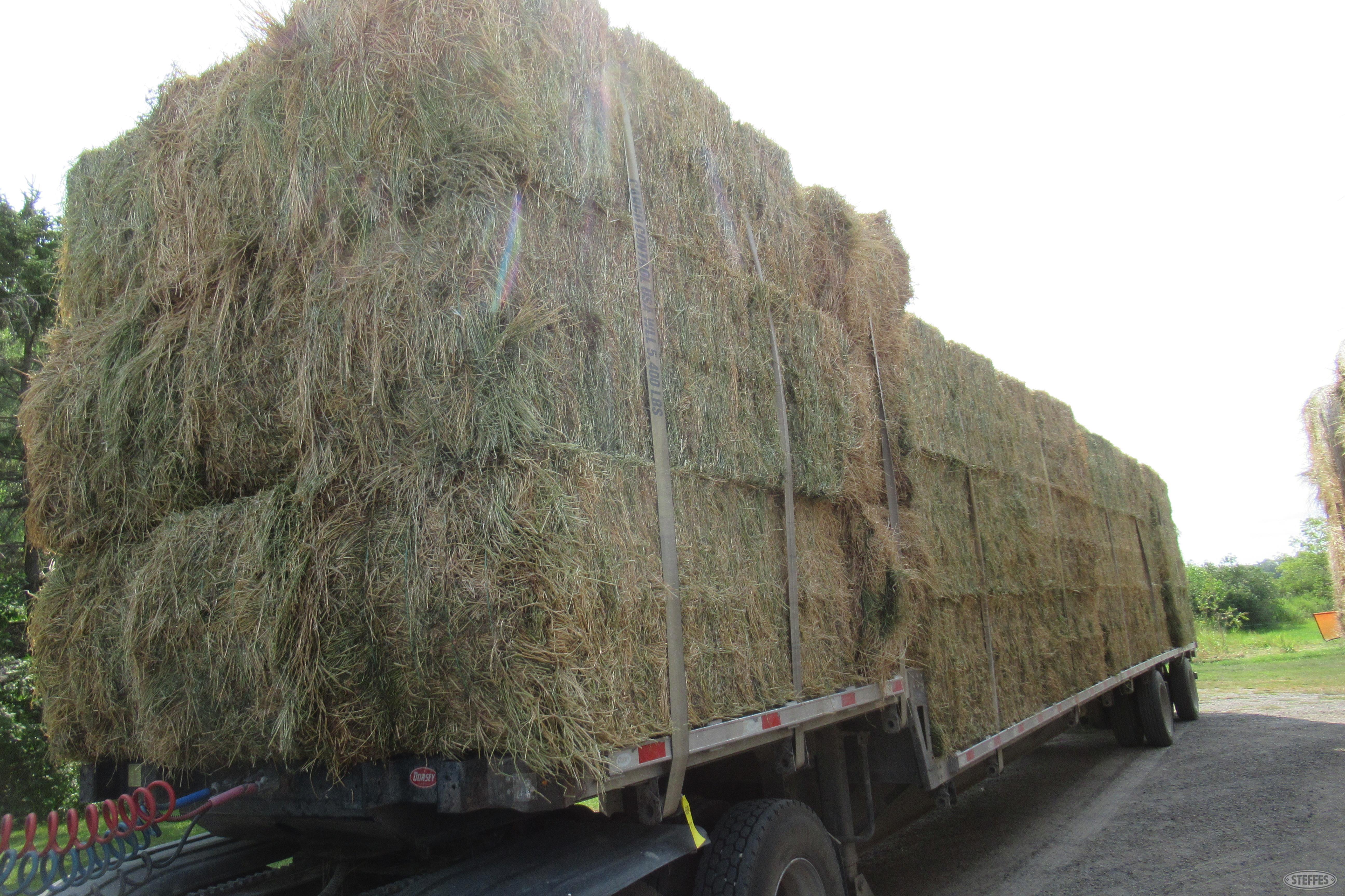 (21.92 Ton) 3x3 sq., alfalfa